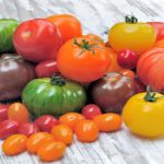 انواع گوجه فرنگی؛ با ۱۸نوع خوش‌طعم‌ورنگ آشنا شوید